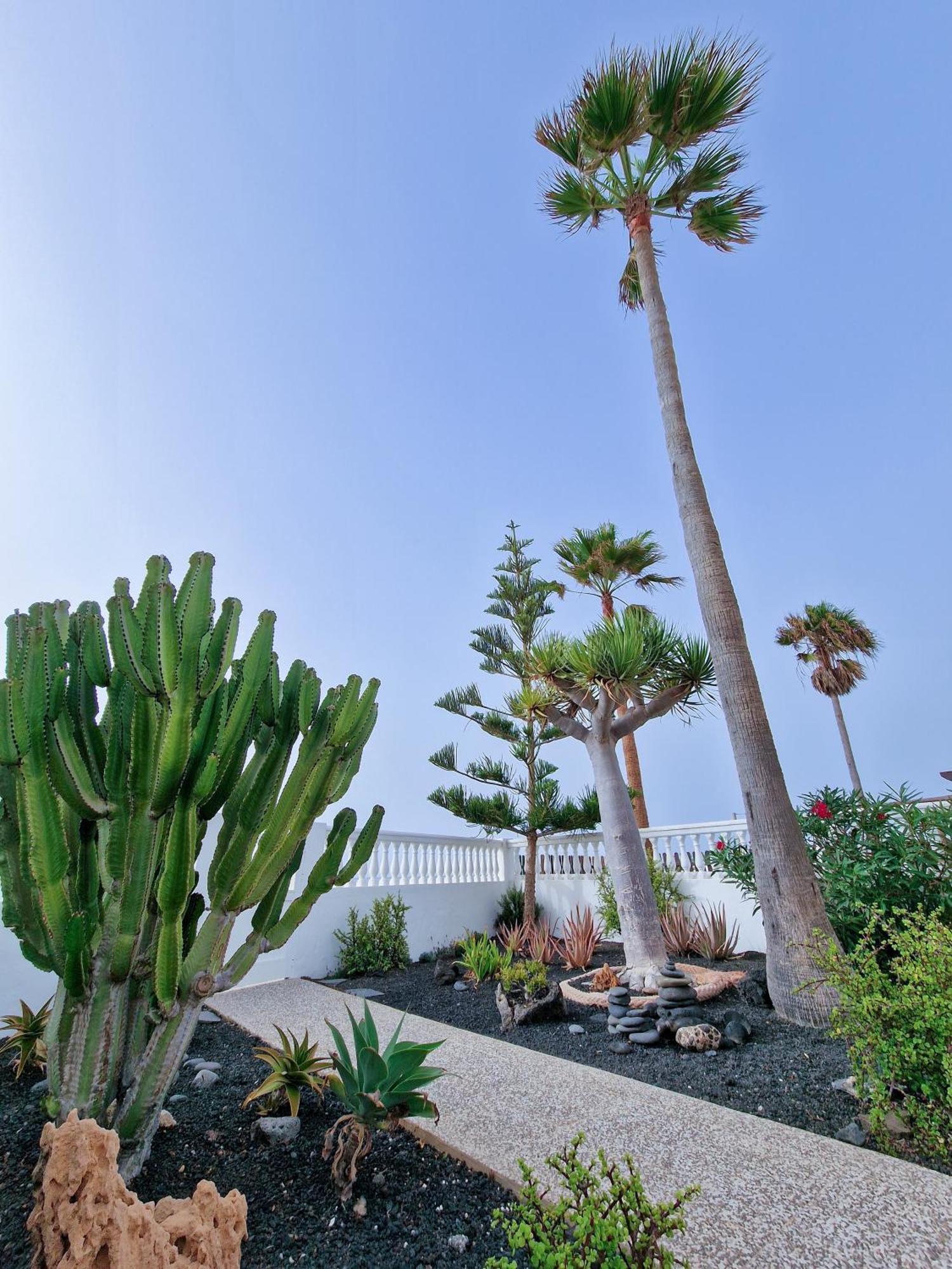Villa La Maja Beachfront Corralejo Exteriör bild